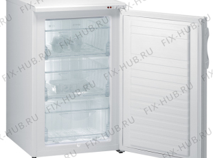 Холодильник Gorenje F3091AW (392297, ZOS1056) - Фото